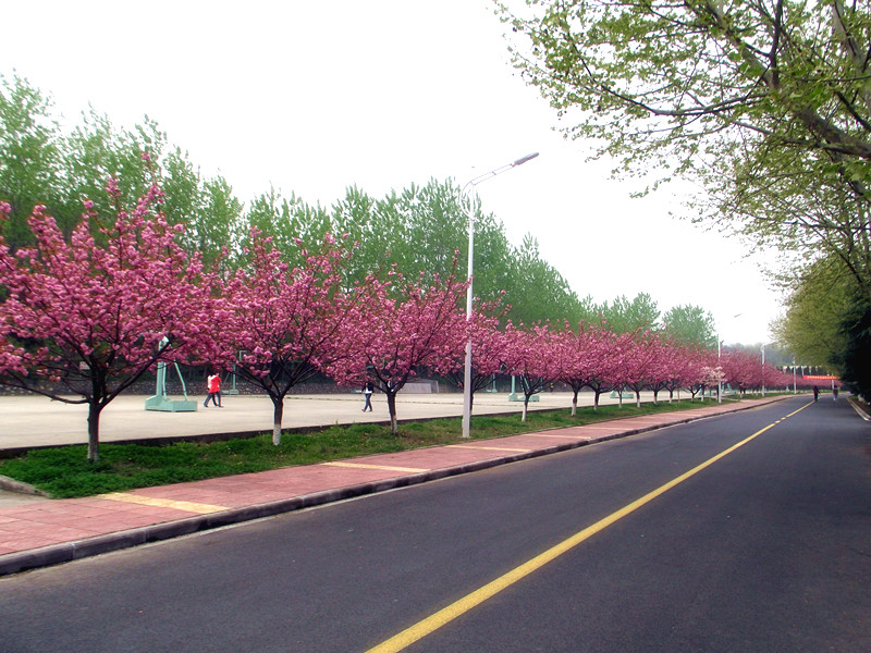 �Ͼ�������Ϣ����ѧУ